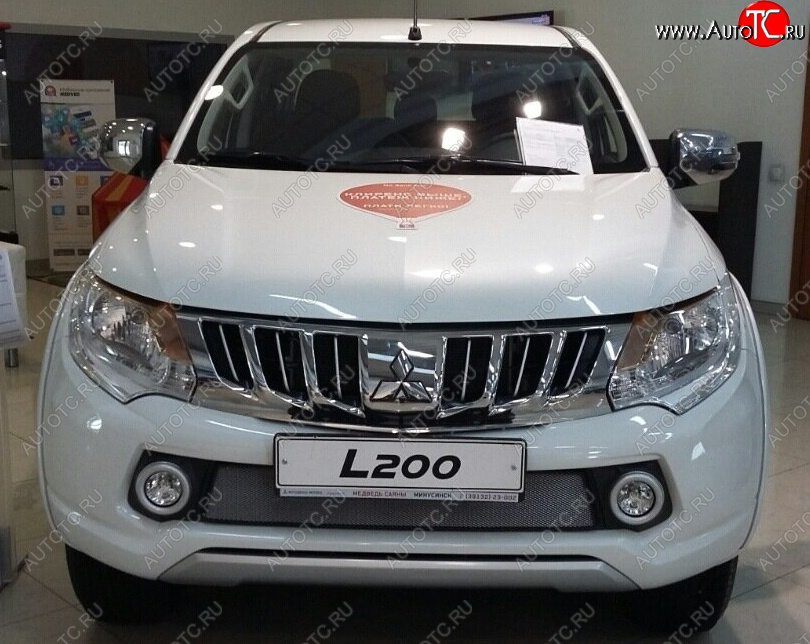 3 149 р. Защитная сетка в бампер (низ, ячейка 3х7 мм) Alfeco Стандарт Mitsubishi L200 5 KK,KL дорестайлинг (2015-2019) (Хром) с доставкой в г. Пермь Увеличить фотографию 1 3 149 р. Защитная сетка в бампер (низ, ячейка 3х7 мм) Alfeco Стандарт Mitsubishi L200 5 KK,KL дорестайлинг (2015-2019) (Хром) с доставкой в г. Пермь