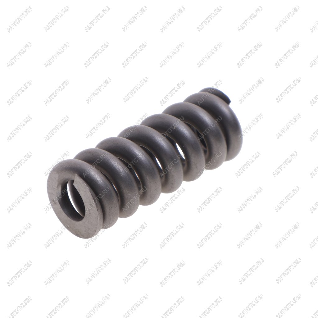 282 р. Пружина DAF форсунки BOSCH BOSCH 2434619017  с доставкой в г. Пермь