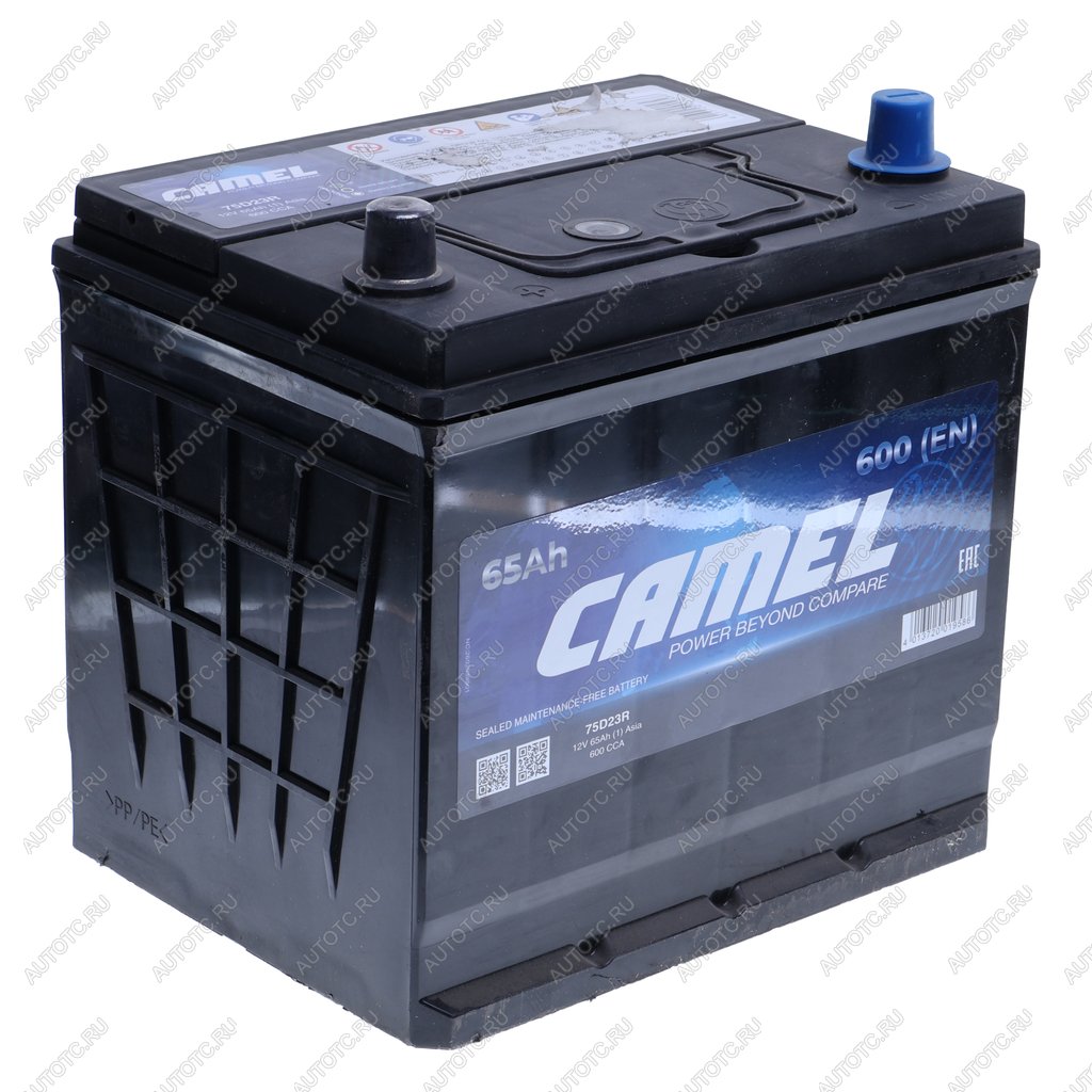 8 249 р. Аккумулятор CAMEL Asia 65Ач CAMEL 6ст65(1) 75d23r  с доставкой в г. Пермь