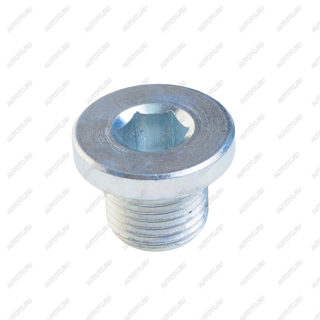 138 р. Пробка сливная PEUGEOT CITROEN поддона картера BSG BSG bsg30230056  с доставкой в г. Пермь