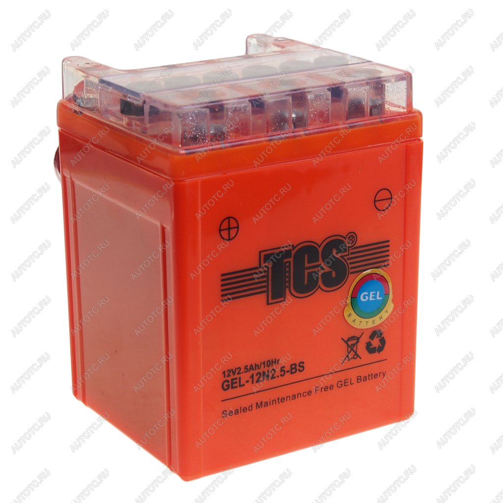 1 329 р. Аккумулятор TCS GEL 2.5Ач TCS 6ст2.5 gel-12n2.5-bs  с доставкой в г. Пермь
