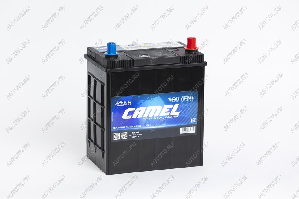 6 099 р. Аккумулятор CAMEL Asia 42Ач обратная полярность CAMEL 6ст42(0) 45b19l  с доставкой в г. Пермь
