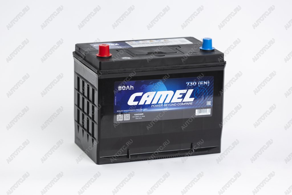 11 699 р. Аккумулятор CAMEL Asia 80Ач CAMEL 6ст80(1) 105d26r  с доставкой в г. Пермь