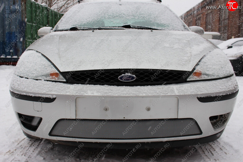3 079 р. Защитная сетка в бампер (ячейка 3х7 мм) Alfeco Стандарт  Ford Focus  1 (2001-2005) седан рестайлинг, универсал рестайлинг, хэтчбэк 3 дв. рестайлинг, хэтчбэк 5 дв. рестайлинг (Хром)  с доставкой в г. Пермь