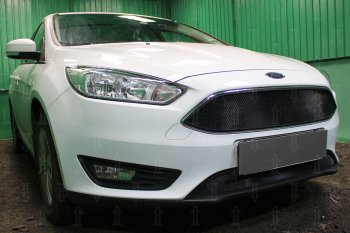 3 079 р. Защитная сетка в бампер (верх, ячейка 3х7 мм, кроме компл.Titanium) Alfeco Стандарт  Ford Focus  3 (2014-2019) седан рестайлинг, универсал рестайлинг, хэтчбэк рестайлинг (Чёрная)  с доставкой в г. Пермь. Увеличить фотографию 3