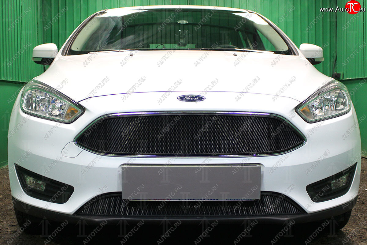 2 879 р. Защитная сетка в бампер (низ, ячейка 3х7 мм) Alfeco Стандарт Ford Focus 3 хэтчбэк рестайлинг (2014-2019) (Чёрная)  с доставкой в г. Пермь