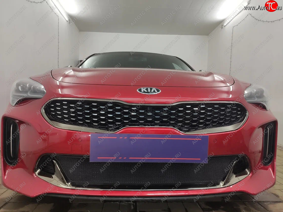 3 089 р. Защитная сетка в бампер (низ, ячейка 3х7 мм) Alfeco Стандарт KIA Stinger (2017-2025) (Чёрная)  с доставкой в г. Пермь