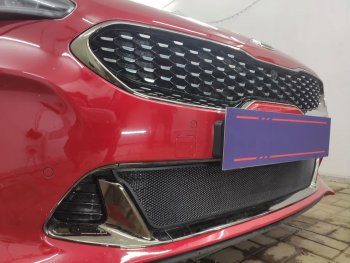 3 089 р. Защитная сетка в бампер (низ, ячейка 3х7 мм) Alfeco Стандарт KIA Stinger (2017-2025) (Чёрная)  с доставкой в г. Пермь. Увеличить фотографию 3