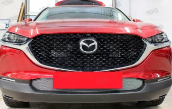 Защитная сетка в бампер (низ, ячейка 3х7 мм) Alfeco Стандарт Mazda CX-30  1 DM (2019-2025) (Хром)