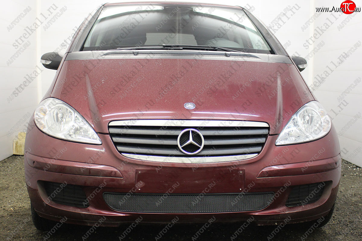 3 079 р. Защитная сетка в бампер (низ, ячейка 3х7 мм) Alfeco Стандарт  Mercedes-Benz A class  W169 (2005-2008) дорестайлинг, хэтчбэк 5 дв. (Чёрная)  с доставкой в г. Пермь