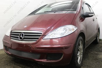 3 079 р. Защитная сетка в бампер (низ, ячейка 3х7 мм) Alfeco Стандарт  Mercedes-Benz A class  W169 (2005-2008) дорестайлинг, хэтчбэк 5 дв. (Чёрная)  с доставкой в г. Пермь. Увеличить фотографию 2