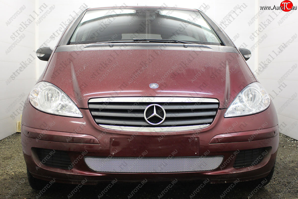 3 099 р. Защитная сетка в бампер (низ, ячейка 3х7 мм) Alfeco Стандарт  Mercedes-Benz A class  W169 (2005-2008) дорестайлинг, хэтчбэк 5 дв. (Хром)  с доставкой в г. Пермь