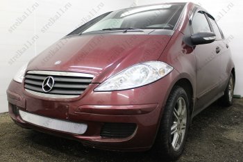 3 099 р. Защитная сетка в бампер (низ, ячейка 3х7 мм) Alfeco Стандарт  Mercedes-Benz A class  W169 (2005-2008) дорестайлинг, хэтчбэк 5 дв. (Хром)  с доставкой в г. Пермь. Увеличить фотографию 3