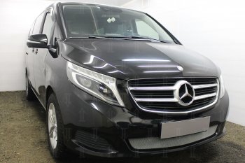 3 099 р. Защитная сетка в бампер (низ, ячейка 3х7 мм) Alfeco Стандарт Mercedes-Benz Vito W447 дорестайлинг (2015-2020) (Хром)  с доставкой в г. Пермь. Увеличить фотографию 2