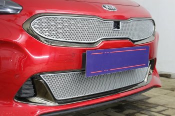 6 299 р. Защитная сетка в бампер (верх, ячейка 4х10 мм) Alfeco Премиум  KIA Stinger (2017-2025) (Хром)  с доставкой в г. Пермь. Увеличить фотографию 4