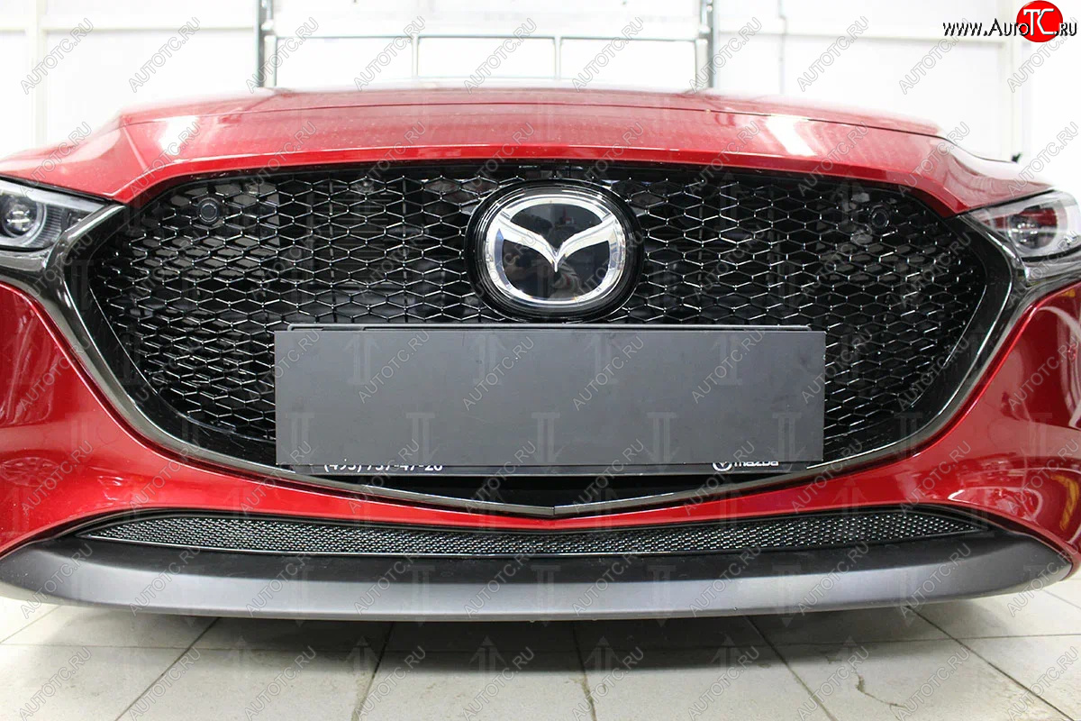 3 759 р. Защитная сетка в бампер (низ, ячейка 4х10 мм) Alfeco Премиум Mazda 3/Axela BP хэтчбэк (2019-2025) (Чёрная)  с доставкой в г. Пермь