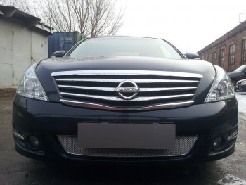 Защитная сетка в бампер (низ, ячейка 4х10 мм) Стрелка11 Премиум Nissan Teana 2 J32 рестайлинг (2011-2014) (Хром)