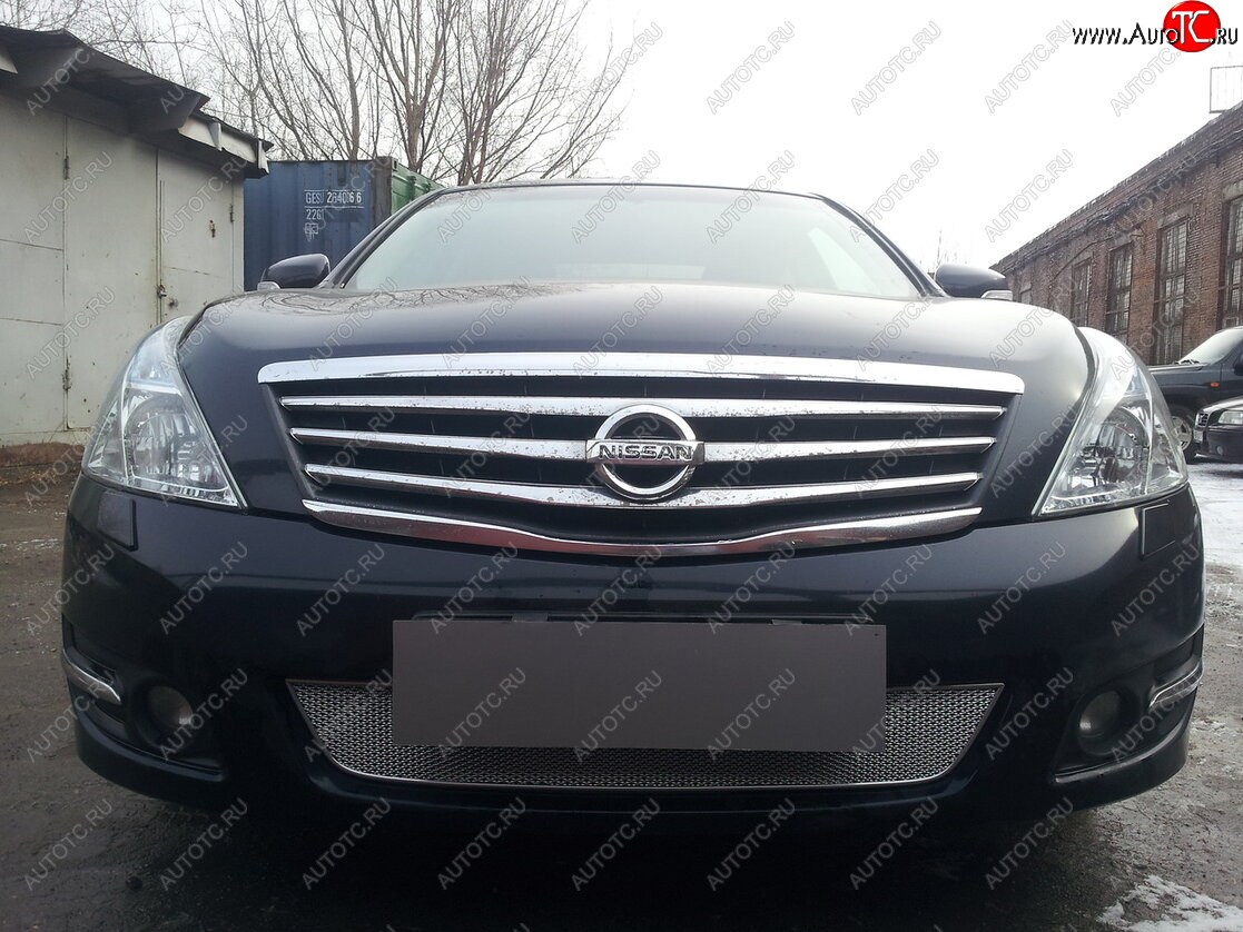 4 299 р. Защитная сетка в бампер (низ, ячейка 4х10 мм) Стрелка11 Премиум Nissan Teana 2 J32 рестайлинг (2011-2014) (Хром)  с доставкой в г. Пермь