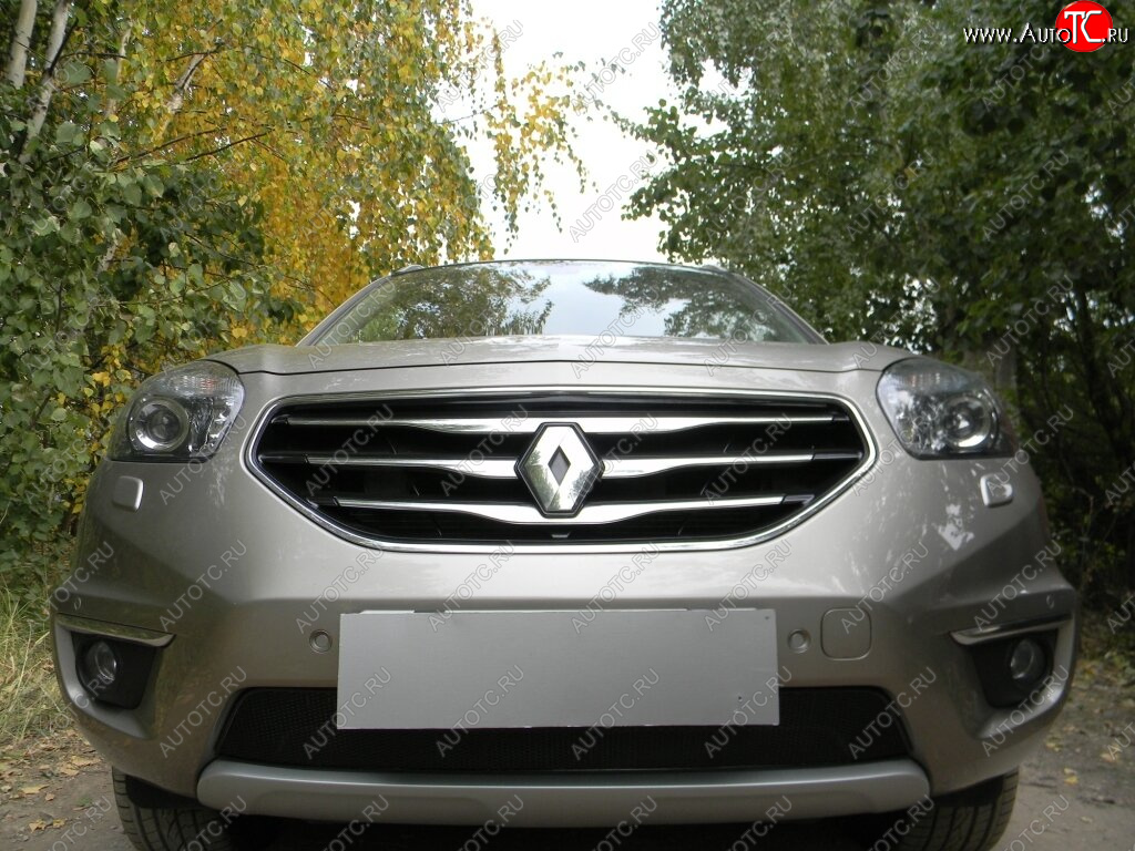 4 299 р. Защитная сетка в бампер (низ, ячейка 4х10 мм) Стрелка11 Премиум Renault Koleos 1 Phase 3 (2013-2016) (Чёрная)  с доставкой в г. Пермь