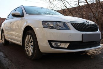 6 999 р. Защитная сетка в бампер (низ, 2 части, компл.Ambition,Elegance,Style, ячейка 4х10 мм) Стрелка11 Премиум Skoda Octavia A7 дорестайлинг универсал (2012-2017) (Чёрная)  с доставкой в г. Пермь. Увеличить фотографию 2
