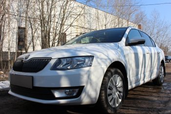 6 999 р. Защитная сетка в бампер (низ, 2 части, компл.Ambition,Elegance,Style, ячейка 4х10 мм) Стрелка11 Премиум Skoda Octavia A7 дорестайлинг универсал (2012-2017) (Чёрная)  с доставкой в г. Пермь. Увеличить фотографию 3
