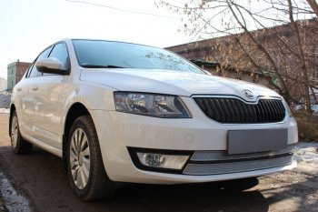 6 999 р. Защитная сетка в бампер (низ, 2 части, компл.Ambition,Elegance,Style, ячейка 4х10 мм) Стрелка11 Премиум Skoda Octavia A7 дорестайлинг универсал (2012-2017) (Хром)  с доставкой в г. Пермь. Увеличить фотографию 2