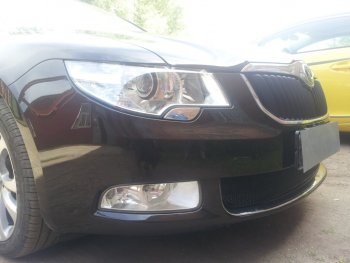 4 299 р. Защитная сетка в бампер (низ, ячейка 4х10 мм) Стрелка11 Премиум Skoda Superb B6 (3T5) универсал доресталийнг (2009-2013) (Чёрная)  с доставкой в г. Пермь. Увеличить фотографию 2