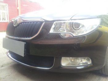 4 299 р. Защитная сетка в бампер (низ, ячейка 4х10 мм) Стрелка11 Премиум Skoda Superb B6 (3T5) универсал доресталийнг (2009-2013) (Чёрная)  с доставкой в г. Пермь. Увеличить фотографию 3