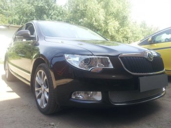 4 299 р. Защитная сетка в бампер (низ, ячейка 4х10 мм) Стрелка11 Премиум Skoda Superb B6 (3T5) универсал доресталийнг (2009-2013) (Хром)  с доставкой в г. Пермь. Увеличить фотографию 2