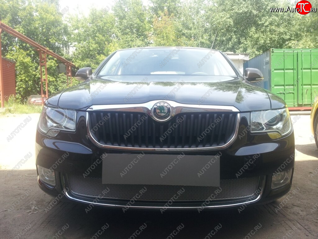 4 299 р. Защитная сетка в бампер (низ, ячейка 4х10 мм) Стрелка11 Премиум Skoda Superb B6 (3T5) универсал доресталийнг (2009-2013) (Хром)  с доставкой в г. Пермь