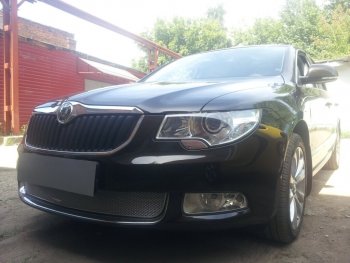 4 299 р. Защитная сетка в бампер (низ, ячейка 4х10 мм) Стрелка11 Премиум Skoda Superb B6 (3T5) универсал доресталийнг (2009-2013) (Хром)  с доставкой в г. Пермь. Увеличить фотографию 3
