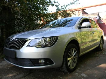 Защитная сетка в бампер (низ, ячейка 4х10 мм) Стрелка11 Премиум Skoda Superb (B6) 3T лифтбэк рестайлинг (2013-2015) (Чёрная)