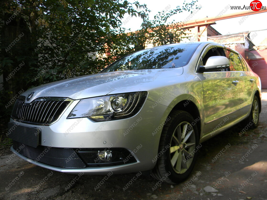 4 649 р. Защитная сетка в бампер (низ, ячейка 4х10 мм) Стрелка11 Премиум Skoda Superb B6 (3T5) универсал рестайлинг (2013-2015) (Чёрная)  с доставкой в г. Пермь