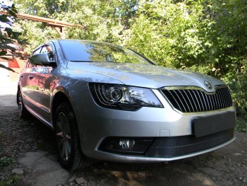 4 649 р. Защитная сетка в бампер (низ, ячейка 4х10 мм) Стрелка11 Премиум Skoda Superb B6 (3T5) универсал рестайлинг (2013-2015) (Чёрная)  с доставкой в г. Пермь. Увеличить фотографию 3