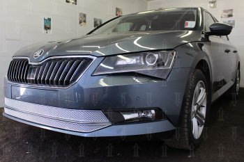 6 999 р. Защитная сетка в бампер (низ, 2 части, ячейка 4х10 мм) Стрелка11 Премиум Skoda Superb B8 (3V5) универсал дорестайлинг (2015-2019) (Хром)  с доставкой в г. Пермь. Увеличить фотографию 3