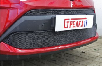 Защитная сетка в бампер (низ, ячейка 4х10 мм) Стрелка11 Премиум Toyota C-HR NGX10, ZGX10 рестайлинг (2019-2025) (Чёрная)