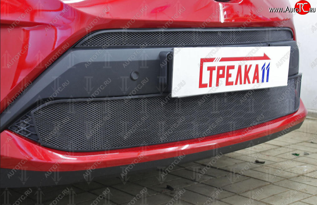 5 499 р. Защитная сетка в бампер (низ, ячейка 4х10 мм) Стрелка11 Премиум Toyota C-HR NGX10, ZGX10 рестайлинг (2019-2025) (Чёрная)  с доставкой в г. Пермь