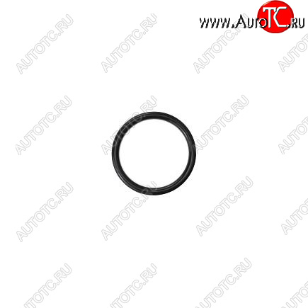100 р. Кольцо уплотнительное QSM, ISM, M11 3035026 CUMMINS 13462  с доставкой в г. Пермь