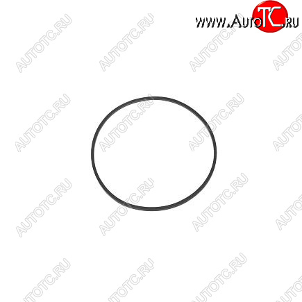 90 р. Кольцо уплотнительное головки топливного фильтра 6BT, ISC, ISL 4980085 CUMMINS 14120  с доставкой в г. Пермь
