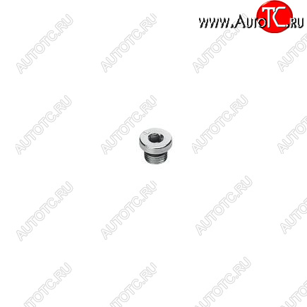 379 р. Заглушка резьбовая ISF 2.8 5259561 CUMMINS 13835  с доставкой в г. Пермь