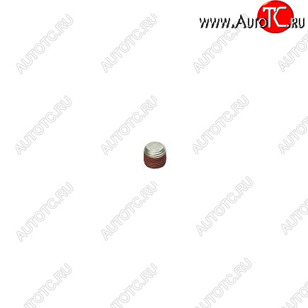 180 р. Заглушка резьбовая (10мм) 3008465 CUMMINS 13790  с доставкой в г. Пермь