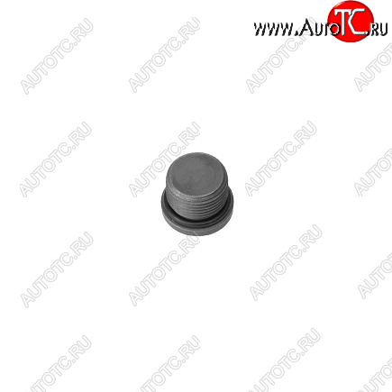 259 р. Заглушка резьбовая ГБЦ, корпуса термостата ISF 3.8 3678611 CUMMINS 13558  с доставкой в г. Пермь