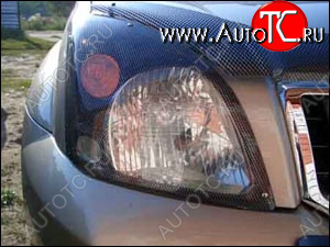 1 199 р. Защита передних фар карбоновая TOYOTA LAND CRUISER PRADO 2001-2008, NLD.STOLCP0123  Тойота Ленд крузер прадо SIM nld.stolcp0123  с доставкой в г. Пермь