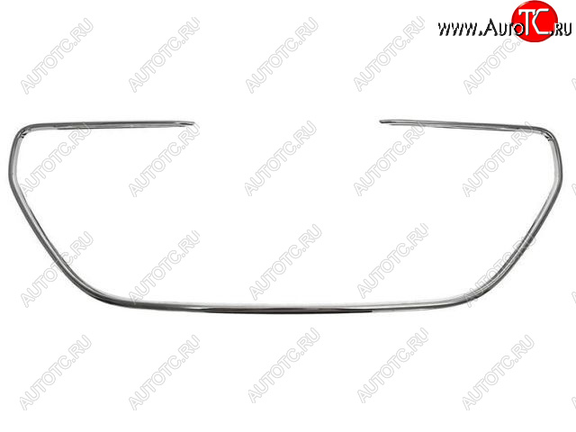 3 399 р. 301 МОЛДИНГ РЕШЕТКИ РАДИАТОРА (Китай) BODYPARTS pg30113-120  с доставкой в г. Пермь