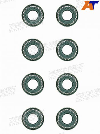 559 р. Комплект маслосъёмных колпачков  BMW 5(E34)3(E46) M43B16 VICTOR REINZ 12-26058-02  с доставкой в г. Пермь. Увеличить фотографию 1