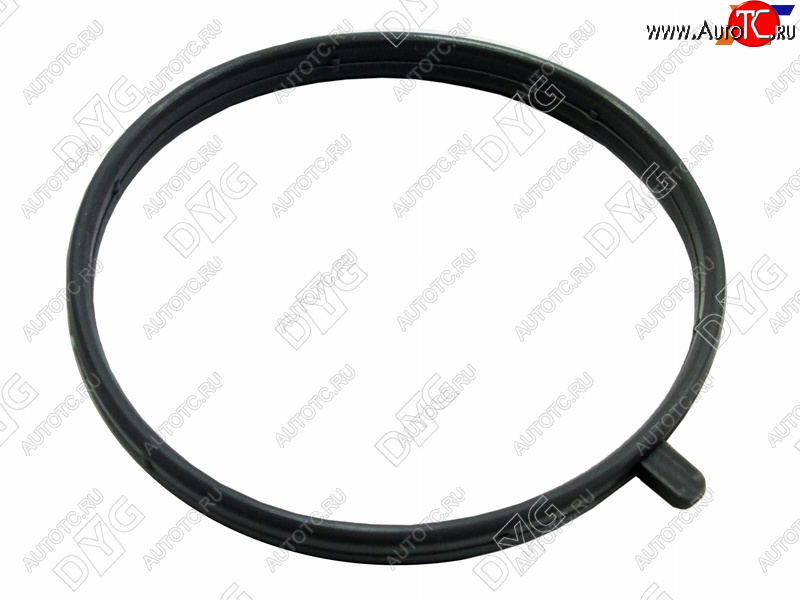147 р. Прокладка дроссельной заслонки HYUNDAI IX35 11-CRETA 16-KIA OPTIMA 14-SPORTAGE 13- G4NA 2,0 DYG 283122E050  с доставкой в г. Пермь
