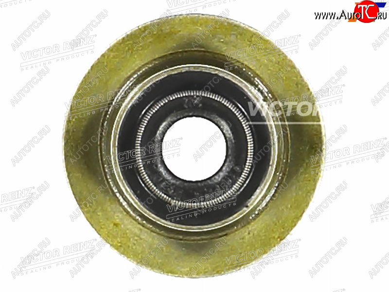 171 р. Колпачок маслосъёмный CITROENPEUGEOT BOXERJUMPER 4HU4HV VICTOR REINZ 70-35549-00  с доставкой в г. Пермь