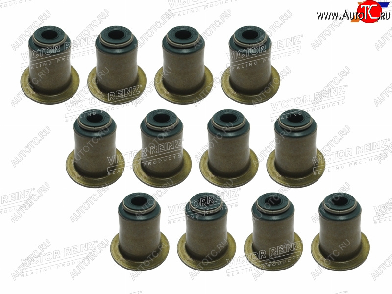 4 399 р. Комплект маслосъёмных колпачков BMW N50B30 (12 шт) VICTOR REINZ 12-37256-01  с доставкой в г. Пермь