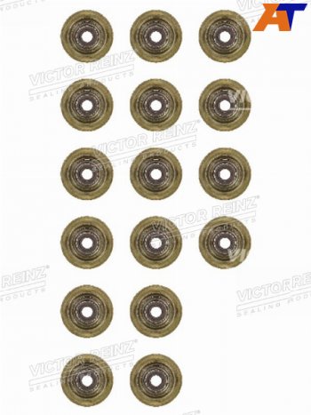 3 269 р. Комплект маслосъёмных колпачков CITROENPEUGEOTBMW 1(F20)(F21)C3C4C5207308 5F45FY5FD5FVN1 VICTOR REINZ 12-37621-01  с доставкой в г. Пермь. Увеличить фотографию 1