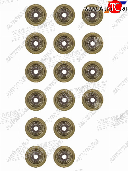3 269 р. Комплект маслосъёмных колпачков CITROENPEUGEOTBMW 1(F20)(F21)C3C4C5207308 5F45FY5FD5FVN1 VICTOR REINZ 12-37621-01  с доставкой в г. Пермь